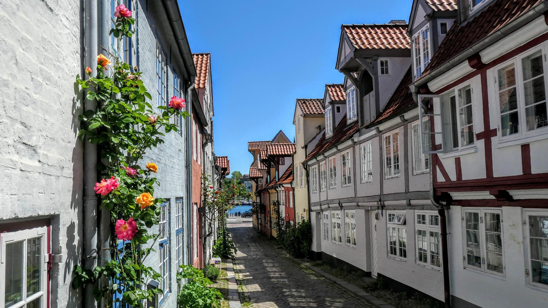 Beautiful view of the identical houses in Oluf-Samson-Gang street in Flensburg, Germany